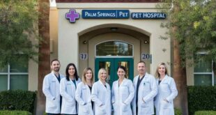 palm springs pet hospital